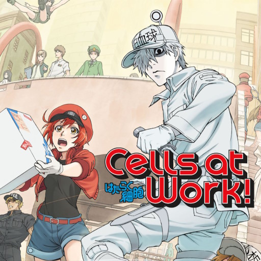 Cells at Work!